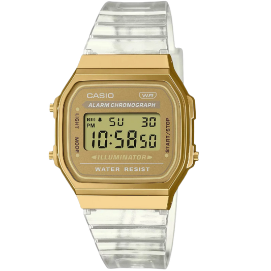 A168 Gold/Jelly Band